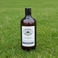Paws & Reflect Moisturizing Shampoo